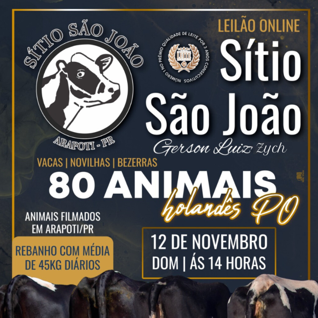 Vem aí o Leilão Online Sítio São João Gerson Luis Zych